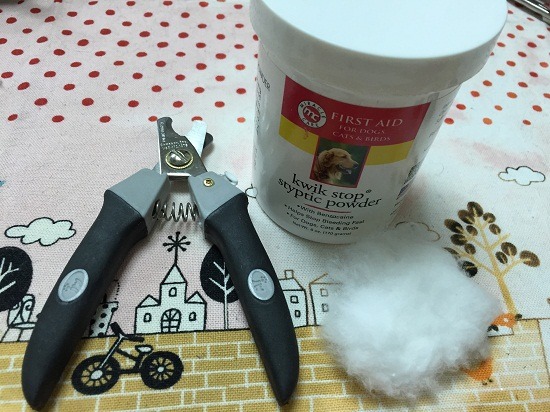 剪指甲前先將寵物專用指甲剪刀和止血粉及棉花準備好。