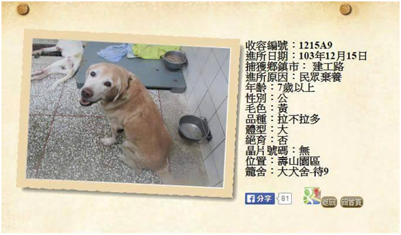 壽山收容所的犬籍資料，說明了牠被主人棄養的不幸遭遇。   社團法人台灣愛狗人協會/提供