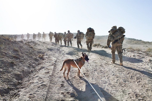 2012年，烏皮（Oopey）和牠的領犬員，隨吾美軍部隊截斷阿富汗的公路，這條公路是叛亂份子的補給路線。  取自網路