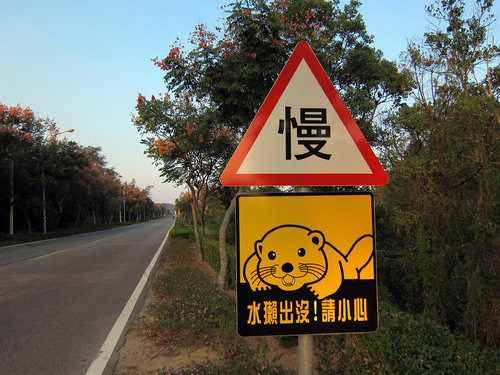 縣府設置於路旁的警告標誌。　取自網路