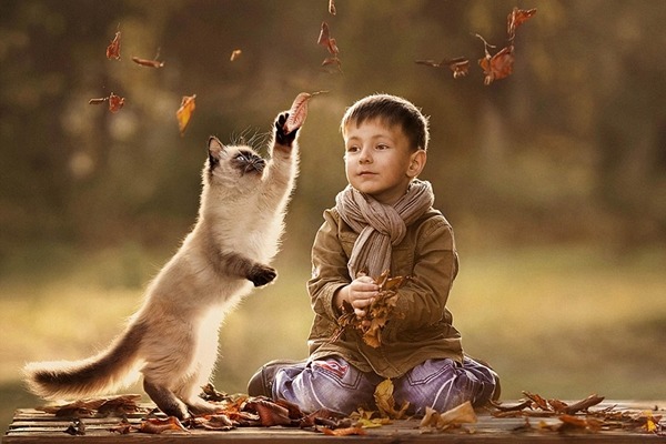貓咪和小男孩一起撿葉子。　取自英國《每日郵報》