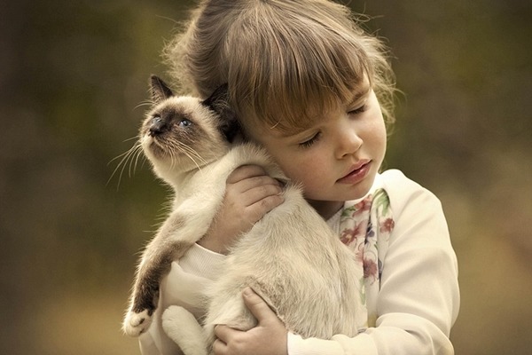 小女孩溫柔地擁抱貓咪。　取自英國《每日郵報》
