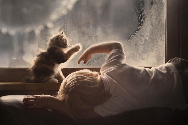 小男孩和小貓咪在起霧的窗戶上作畫。　取自英國《每日郵報》