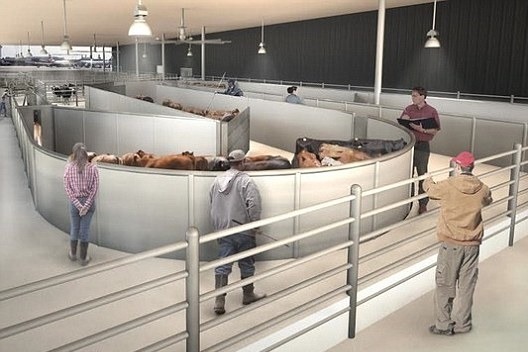 動物航廈將有專為家禽、家畜設計的運輸系統。　取自英國《每日郵報》