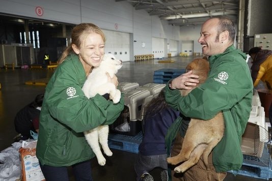 國際人道協會（HSI）工作人員替狗狗接機，開心地抱著牠們。　取自WUSA 9