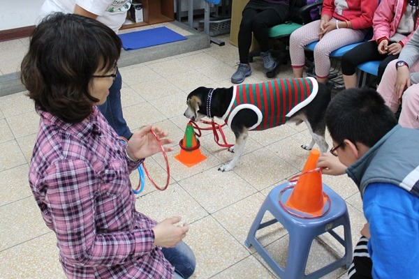 北投國小特教老師、動物輔助治療師李美儀，讓小朋友和治療犬Pina比賽套圈圈，有助學生的肢體活動。　江幸芸/攝