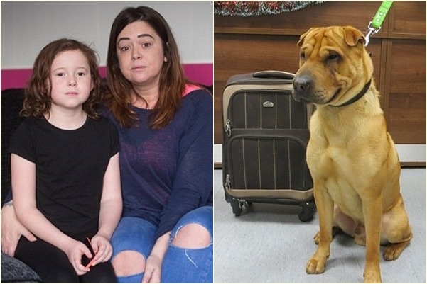 擁有9歲女兒的雷納，在網路上購買Kai，到車站面交才發現和廣告照片不一樣，但賣家卻當場開溜，她只好把狗留在車站。　取自英國《每日郵報》