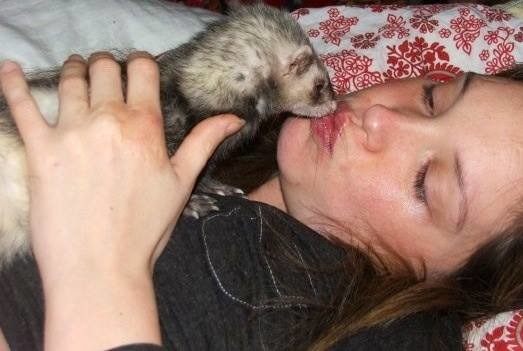 派昆和她的寵物雪貂Fifi，牠是Petite Mort存在的原因之一。　取自Petite Mort臉書