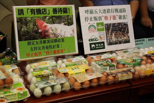 台灣5間連鎖有機店販售的35款雞蛋中，有27款為格子籠雞蛋，既對動物不友善，而且價格高於一般店家。 李娉婷/攝
