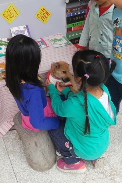 龍田國小的新校犬，經過全校師生票選，取名「嚕嚕」！　龍田國小/提供