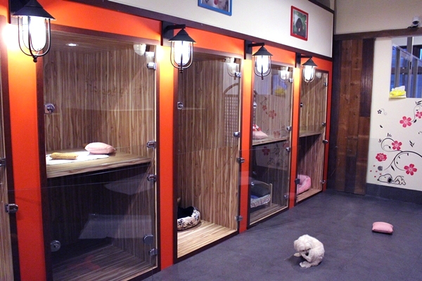 中小型犬的房間，還有寬廣的活動空間。　江幸芸/攝