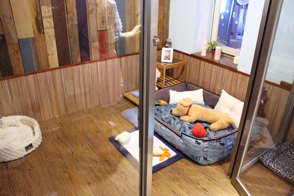 VIP房有大大的寵物床，適合中小型犬。　江幸芸/攝