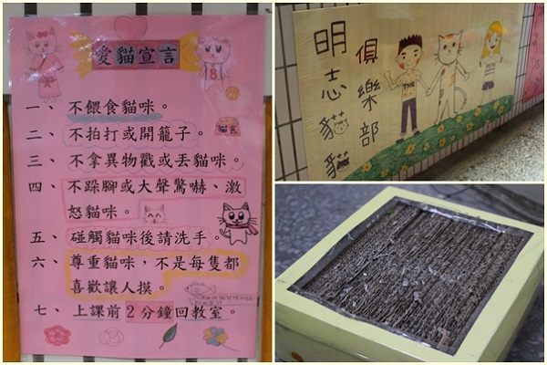 明志國中輔導處的老師布置貓貓走廊，和學生一起做貓抓板，還要提醒學生別玩太久。　江幸芸/攝