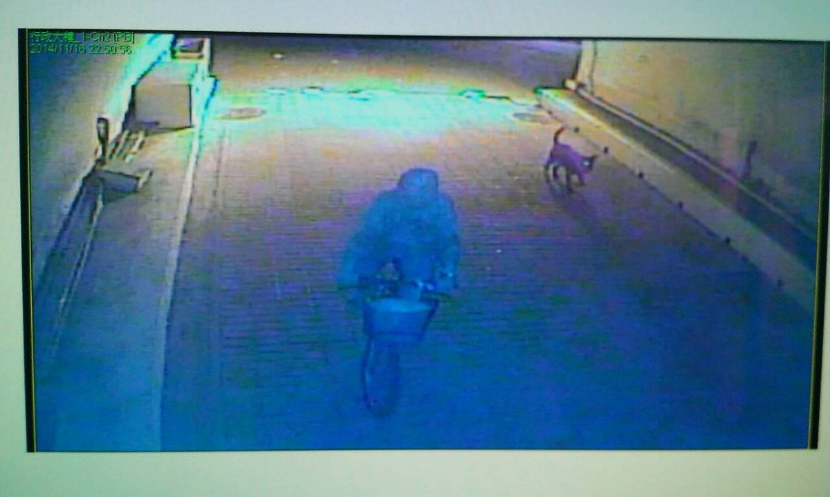 監視器畫面顯示大黑是跟著騎腳踏車男子離開，該名男子時常在校園附近遊蕩。 顏杏娟/提供