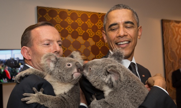 澳洲總理艾伯特示範如何抱無尾熊(左)，美國總統歐巴馬抱的Jimbelung(右)似乎對同伴更感興趣。 取自theguardian.com